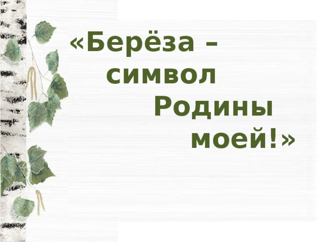 «Берёза –  символ  Родины  моей!»   