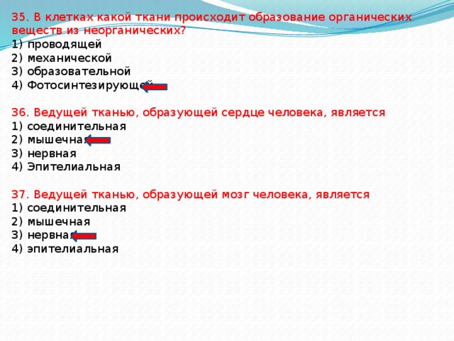 35. В клетках какой ткани происходит образование органических веществ из неорганических? 1) проводящей 2) механической 3) образовательной 4) Фотосинтезирующей 36. Ведущей тканью, образующей сердце человека, является 1) соединительная 2) мышечная 3) нервная 4) Эпителиальная 37. Ведущей тканью, образующей мозг человека, является 1) соединительная 2) мышечная 3) нервная 4) эпителиальная 