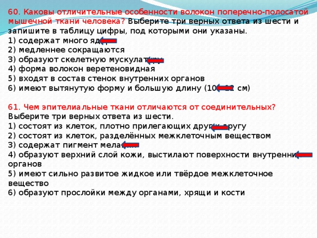 60. Каковы отличительные особенности волокон поперечно-полосатой мышечной ткани человека? Выберите три верных ответа из шести и запишите в таблицу цифры, под которыми они указаны. 1) содержат много ядер 2) медленнее сокращаются 3) образуют скелетную мускулатуру 4) форма волокон веретеновидная 5) входят в состав стенок внутренних органов 6) имеют вытянутую форму и большую длину (10 - 12 см) 61. Чем эпителиальные ткани отличаются от соединительных? Выберите три верных ответа из шести. 1) состоят из клеток, плотно прилегающих друг к другу 2) состоят из клеток, разделённых межклеточным веществом 3) содержат пигмент меланин 4) образуют верхний слой кожи, выстилают поверхности внутренних органов 5) имеют сильно развитое жидкое или твёрдое межклеточное вещество 6) образуют прослойки между органами, хрящи и кости 