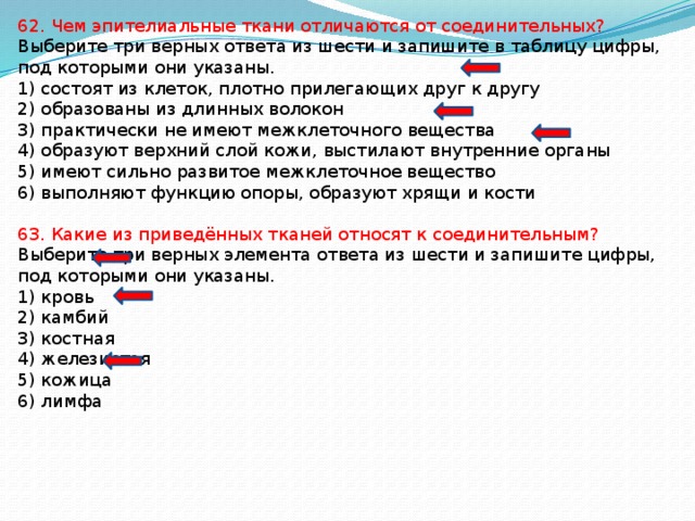 62. Чем эпителиальные ткани отличаются от соединительных? Выберите три верных ответа из шести и запишите в таблицу цифры, под которыми они указаны. 1) состоят из клеток, плотно прилегающих друг к другу 2) образованы из длинных волокон 3) практически не имеют межклеточного вещества 4) образуют верхний слой кожи, выстилают внутренние органы 5) имеют сильно развитое межклеточное вещество 6) выполняют функцию опоры, образуют хрящи и кости 63. Какие из приведённых тканей относят к соединительным? Выберите три верных элемента ответа из шести и запишите цифры, под которыми они указаны. 1) кровь 2) камбий 3) костная 4) железистая 5) кожица 6) лимфа 