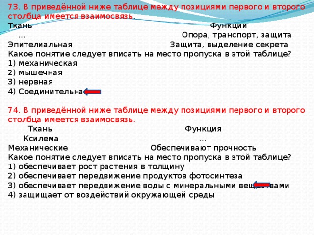 73. В приведённой ниже таблице между позициями первого и второго столбца имеется взаимосвязь . Ткань Функции … Опора, транспорт, защита Эпителиальная Защита, выделение секрета Какое понятие следует вписать на место пропуска в этой таблице? 1) механическая 2) мышечная 3) нервная 4) Соединительная 74. В приведённой ниже таблице между позициями первого и второго столбца имеется взаимосвязь.  Ткань Функция  Ксилема … Механические Обеспечивают прочность Какое понятие следует вписать на место пропуска в этой таблице? 1) обеспечивает рост растения в толщину 2) обеспечивает передвижение продуктов фотосинтеза 3) обеспечивает передвижение воды с минеральными веществами 4) защищает от воздействий окружающей среды 