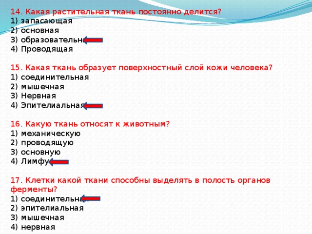 14. Какая растительная ткань постоянно делится? 1) запасающая 2) основная 3) образовательная 4) Проводящая 15. Какая ткань образует поверхностный слой кожи человека? 1) соединительная 2) мышечная 3) Нервная 4) Эпителиальная 16. Какую ткань относят к животным? 1) механическую 2) проводящую 3) основную 4) Лимфу 17. Клетки какой ткани способны выделять в полость органов ферменты? 1) соединительная 2) эпителиальная 3) мышечная 4) нервная 
