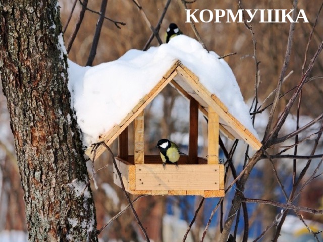 КОРМУШКА 