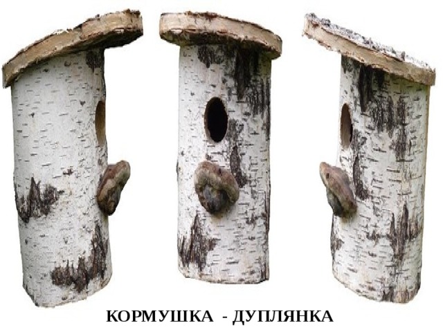КОРМУШКА - ДУПЛЯНКА 