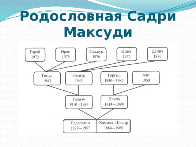 Родословная Садри Максуди 