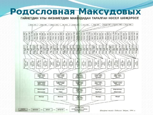 Родословная Максудовых 