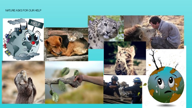 NATURE ASKS FOR OUR HELP 