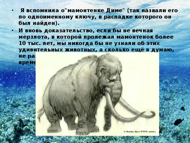  Я вспомнила о