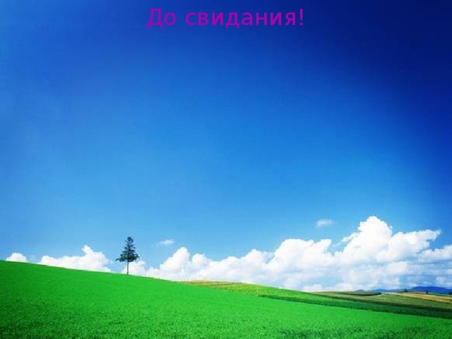 До свидания! 