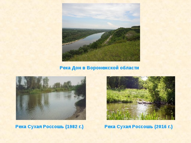 Река Дон в Воронежской области Река Сухая Россошь (1982 г.) Река Сухая Россошь (2016 г.) 