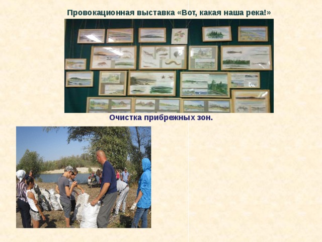 Провокационная выставка «Вот, какая наша река!» Очистка прибрежных зон. 