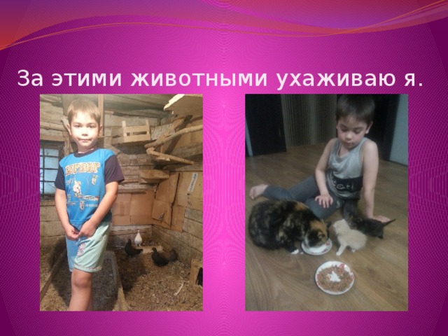 За этими животными ухаживаю я. 