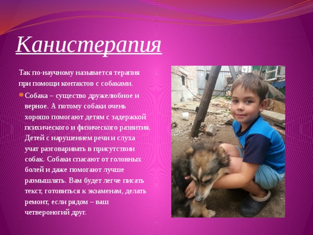 Канистерапия   Так по-научному называется терапия при помощи контактов с собаками. Собака – существо дружелюбное и верное. А потому собаки очень хорошо помогают детям с задержкой психического и физического развития. Детей с нарушением речи и слуха учат разговаривать в присутствии собак. Собаки спасают от головных болей и даже помогают лучше размышлять. Вам будет легче писать текст, готовиться к экзаменам, делать ремонт, если рядом – ваш четвероногий друг. 