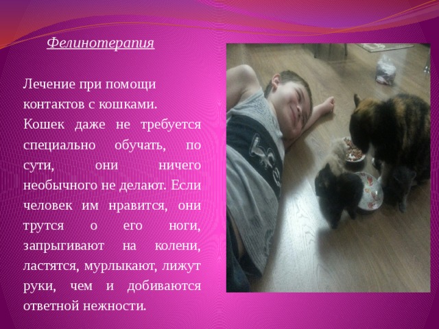  Фелинотерапия   Лечение при помощи контактов с кошками. Кошек даже не требуется специально обучать, по сути, они ничего необычного не делают. Если человек им нравится, они трутся о его ноги, запрыгивают на колени, ластятся, мурлыкают, лижут руки, чем и добиваются ответной нежности. 