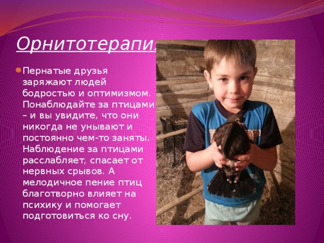 Орнитотерапия   Пернатые друзья заряжают людей бодростью и оптимизмом. Понаблюдайте за птицами – и вы увидите, что они никогда не унывают и постоянно чем-то заняты. Наблюдение за птицами расслабляет, спасает от нервных срывов. А мелодичное пение птиц благотворно влияет на психику и помогает подготовиться ко сну. 