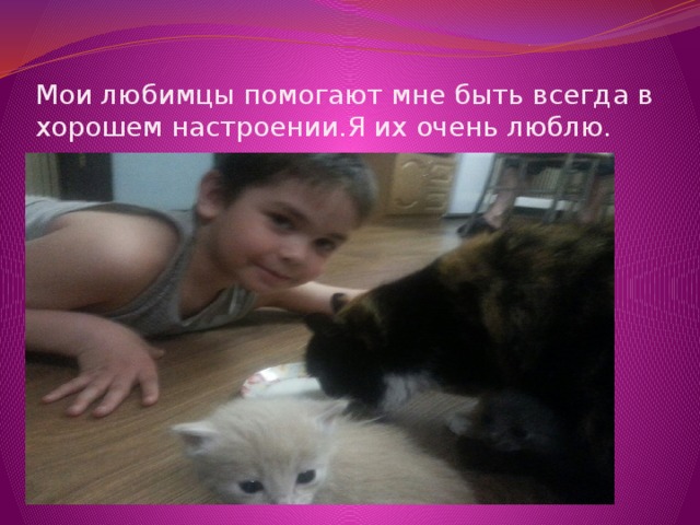 Мои любимцы помогают мне быть всегда в хорошем настроении.Я их очень люблю. 