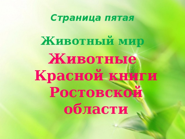 Страница пятая Животный мир Животные Красной книги Ростовской области 