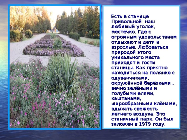  Есть в станице Привольной наш любимый уголок, местечко. Где с огромным удовольствием отдыхают и дети и взрослые. Любоваться природой этого уникального места приходят и гости станицы. Как приятно находиться на полянке с одуванчиками, окружённой берёзками , вечно зелёными и голубыми елями, каштанами, шарообразными клёнами, вдыхать свежесть летнего воздуха. Это станичный парк. Он был заложен в 1979 году. 