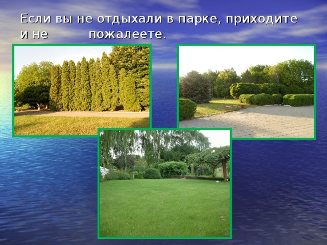 Если вы не отдыхали в парке, приходите и не пожалеете. 