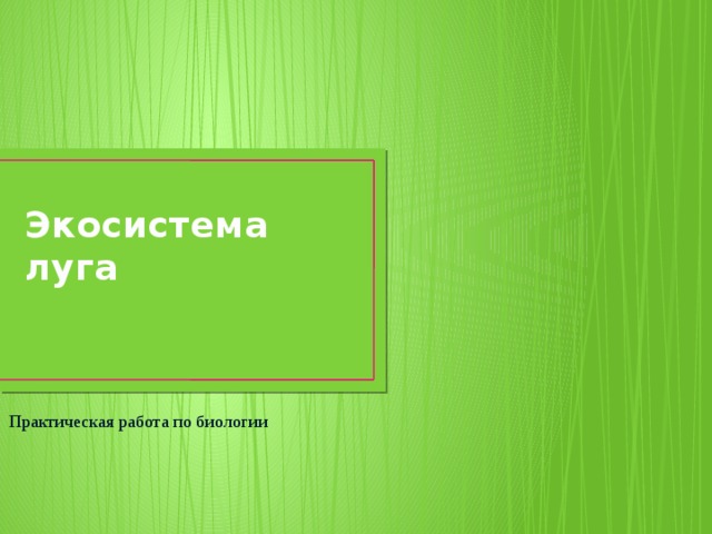 Экосистема луга Практическая работа по биологии 