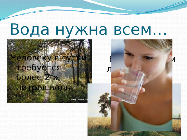 Вода нужна всем… Человеку в сутки требуется более 2-х литров воды  Ее пьют поля и леса 
