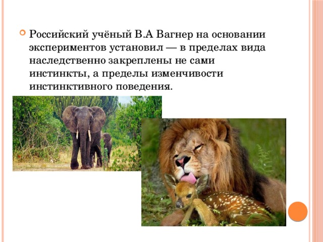 Российский учёный В.А Вагнер на основании экспериментов установил — в пределах вида наследственно закреплены не сами инстинкты, а пределы изменчивости инстинктивного поведения. 
