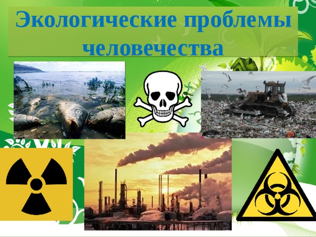 Экологические проблемы человечества 