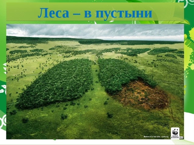 Леса – в пустыни 