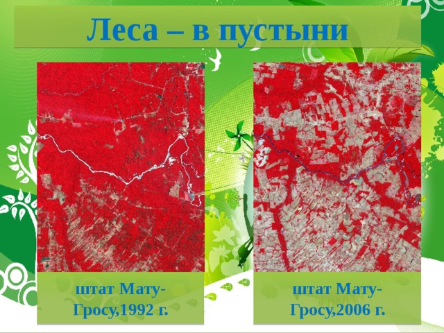 Леса – в пустыни штат Мату-Гросу,1992 г. штат Мату-Гросу,2006 г. 