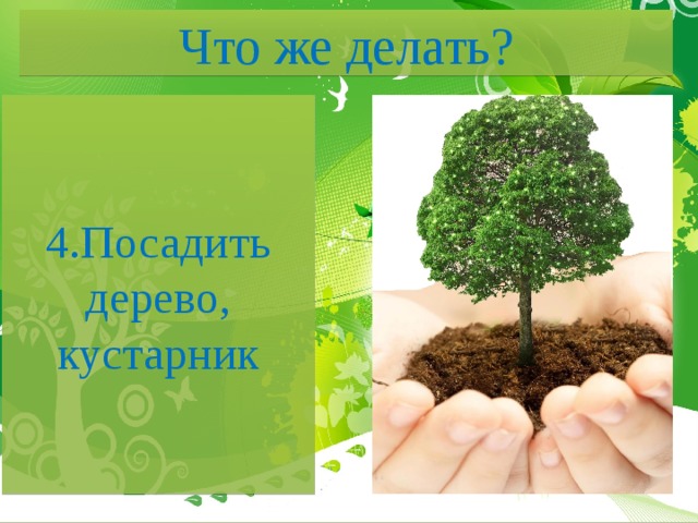 Что же делать? 4.Посадить дерево, кустарник 
