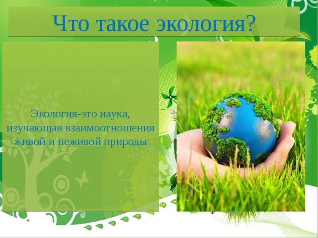 Что такое экология?     Экология-это наука, изучающая взаимоотношения живой и неживой природы       
