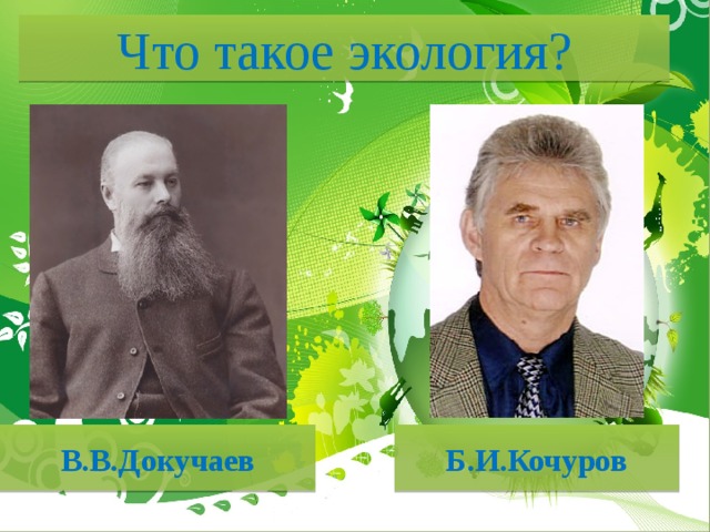 Что такое экология? В.В.Докучаев Б.И.Кочуров  