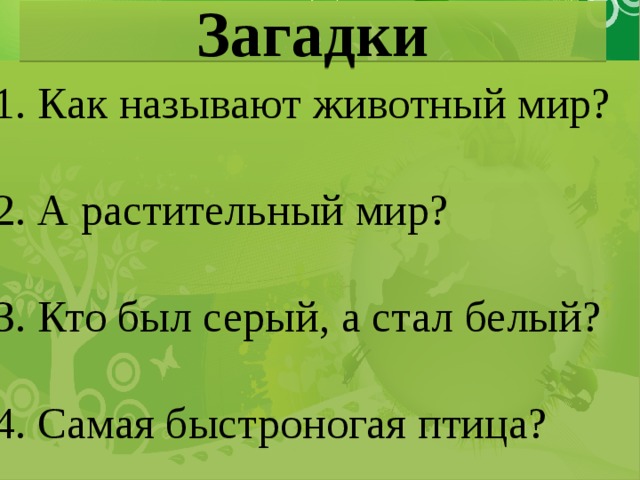 Загадки 1. Как называют животный мир?   2. А растительный мир?   3. Кто был серый, а стал белый?   4. Самая быстроногая птица?  