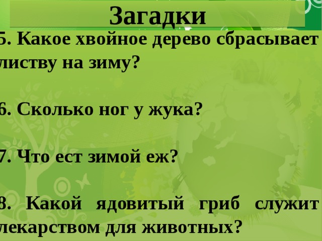 Загадки 5. Какое хвойное дерево сбрасывает листву на зиму?  6. Сколько ног у жука?  7. Что ест зимой еж?  8. Какой ядовитый гриб служит лекарством для животных?  