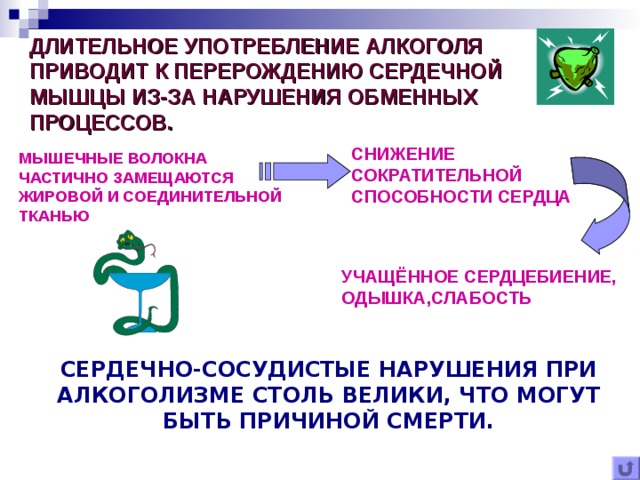 ДЛИТЕЛЬНОЕ УПОТРЕБЛЕНИЕ АЛКОГОЛЯ ПРИВОДИТ К ПЕРЕРОЖДЕНИЮ СЕРДЕЧНОЙ МЫШЦЫ ИЗ-ЗА НАРУШЕНИЯ ОБМЕННЫХ ПРОЦЕССОВ. СНИЖЕНИЕ СОКРАТИТЕЛЬНОЙ СПОСОБНОСТИ СЕРДЦА МЫШЕЧНЫЕ ВОЛОКНА ЧАСТИЧНО ЗАМЕЩАЮТСЯ ЖИРОВОЙ И СОЕДИНИТЕЛЬНОЙ ТКАНЬЮ УЧАЩЁННОЕ СЕРДЦЕБИЕНИЕ, ОДЫШКА,СЛАБОСТЬ СЕРДЕЧНО-СОСУДИСТЫЕ НАРУШЕНИЯ ПРИ АЛКОГОЛИЗМЕ СТОЛЬ ВЕЛИКИ, ЧТО МОГУТ БЫТЬ ПРИЧИНОЙ СМЕРТИ. 