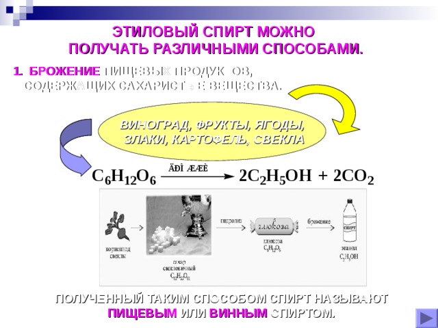 ЭТИЛОВЫЙ СПИРТ МОЖНО ПОЛУЧАТЬ РАЗЛИЧНЫМИ  СПОСОБАМИ . БРОЖЕНИЕ ПИЩЕВЫХ ПРОДУКТОВ,  СОДЕРЖАЩИХ САХАРИСТЫЕ ВЕЩЕСТВА. ВИНОГРАД, ФРУКТЫ, ЯГОДЫ,  ЗЛАКИ, КАРТОФЕЛЬ, СВЕКЛА содержат глюкозу ПОЛУЧЕННЫЙ ТАКИМ СПОСОБОМ СПИРТ НАЗЫВАЮТ ПИЩЕВЫМ ИЛИ ВИННЫМ СПИРТОМ. 