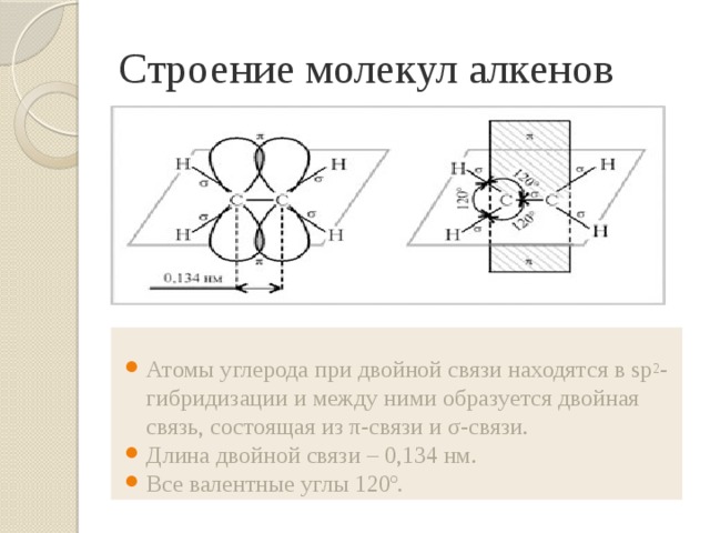 Строение молекул алкенов Атомы углерода при двойной связи находятся в sp 2 -гибридизации и между ними образуется двойная связь, состоящая из π-связи и σ-связи. Длина двойной связи – 0,134 нм. Все валентные углы 120º. 