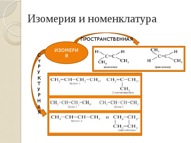 Изомерия и номенклатура ПРОСТРАНСТВЕННАЯ ИЗОМЕРИЯ С т Р У К Т У Р Н А Я 