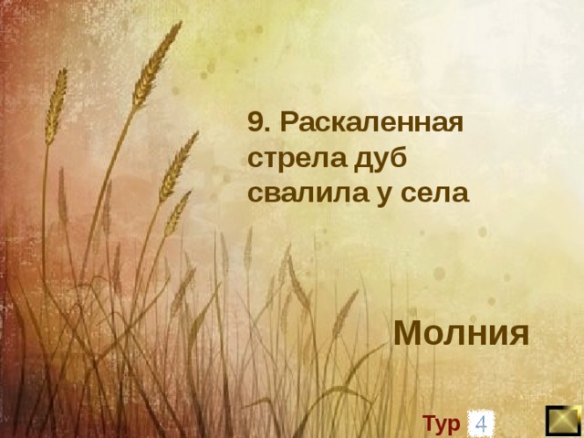 9. Раскаленная стрела дуб свалила у села  Молния   Тур 