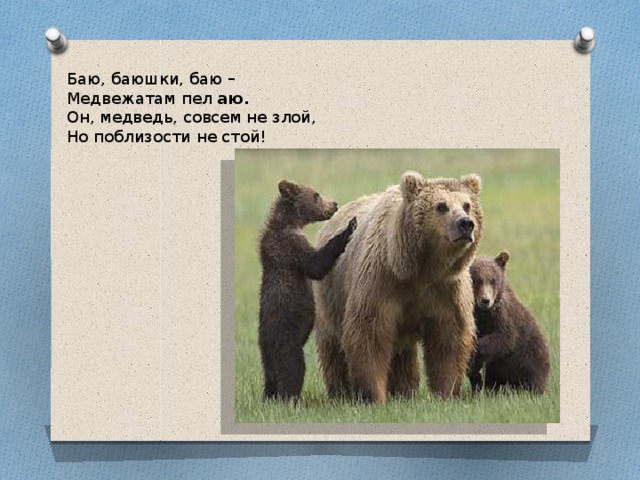 Баю, баюшки, баю – Медвежатам пел аю. Он, медведь, совсем не злой, Но поблизости не стой!   
