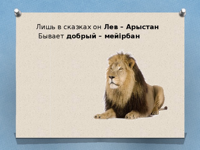  Лишь в сказках он Лев – Арыстан  Бывает добрый – мейірбан 