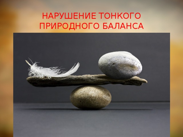 НАРУШЕНИЕ ТОНКОГО ПРИРОДНОГО БАЛАНСА