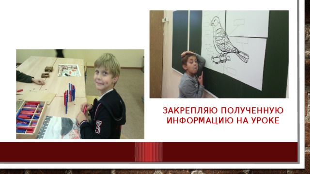 Закрепляю полученную информацию на уроке 