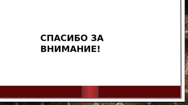 СПАСИБО ЗА ВНИМАНИЕ! 