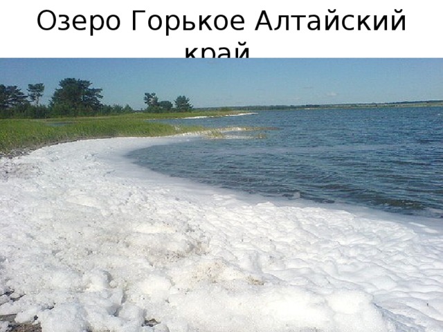 Озеро Горькое Алтайский край 