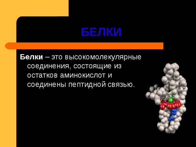 БЕЛКИ Белки 