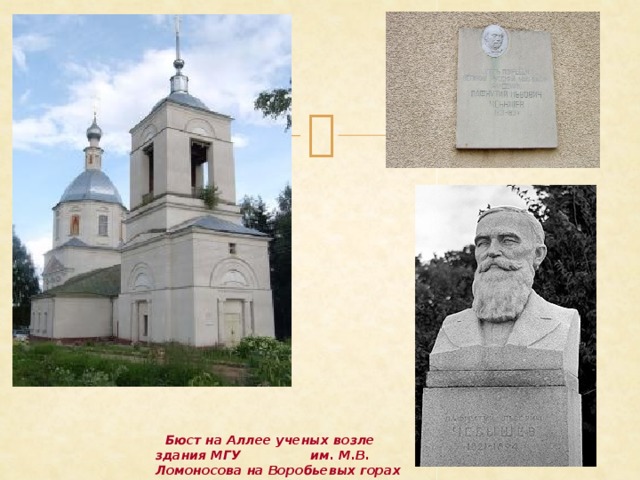  Бюст на Аллее ученых возле здания МГУ им. М.В. Ломоносова на Воробьевых горах в Москве 