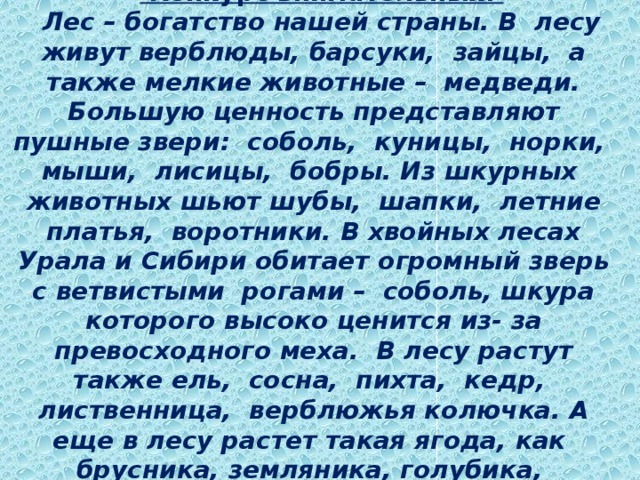 Задание 3 «Найди ошибку».  Конкурс внимательных. Лес – богатство нашей страны. В лесу живут верблюды, барсуки, зайцы, а также мелкие животные – медведи. Большую ценность представляют пушные звери: соболь, куницы, норки, мыши, лисицы, бобры. Из шкурных животных шьют шубы, шапки, летние платья, воротники. В хвойных лесах Урала и Сибири обитает огромный зверь с ветвистыми рогами – соболь, шкура которого высоко ценится из- за превосходного меха. В лесу растут также ель, сосна, пихта, кедр, лиственница, верблюжья колючка. А еще в лесу растет такая ягода, как брусника, земляника, голубика, смородина. Густые, трудно доступные места, называют тундрой.
