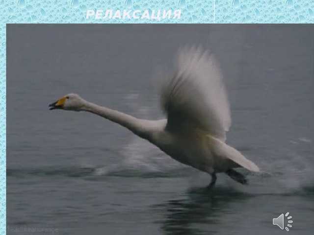 Релаксация
