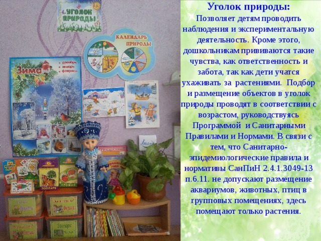 Уголок природы:  Позволяет детям проводить наблюдения и экспериментальную деятельность. Кроме этого, дошкольникам прививаются такие чувства, как ответственность и забота, так как дети учатся ухаживать за растениями. Подбор и размещение объектов в уголок природы проводят в соответствии с возрастом, руководствуясь Программой и Санитарными Правилами и Нормами. В связи с тем, что Санитарно-эпидемиологические правила и нормативы СанПиН 2.4.1.3049-13 п.6.11. не допускают размещение аквариумов, животных, птиц в групповых помещениях, здесь помещают только растения.   